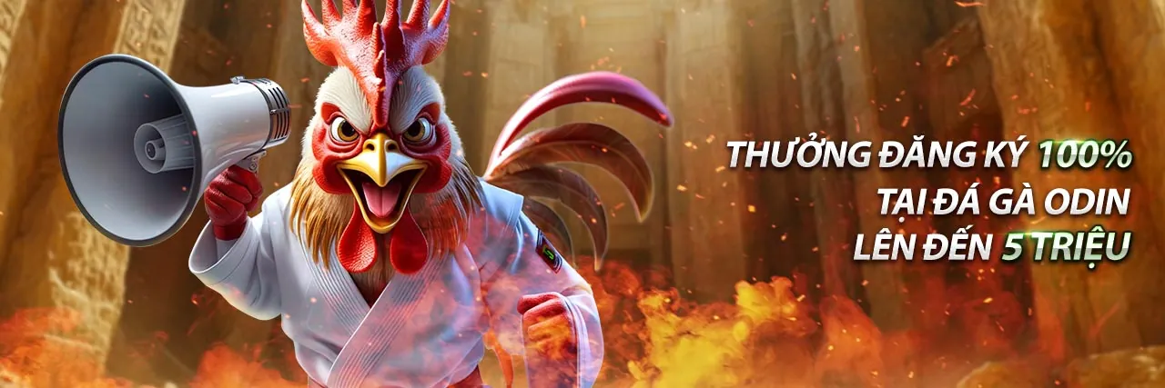 Hình ảnh hỗ trợ khách hàng alo88 khuyến mãi